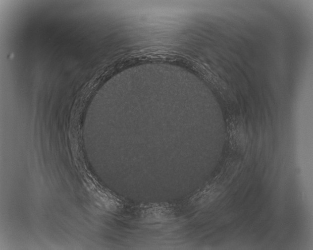 X0000082710769200702161815