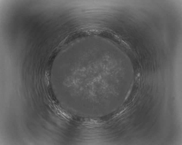 X0000082710772200702161815