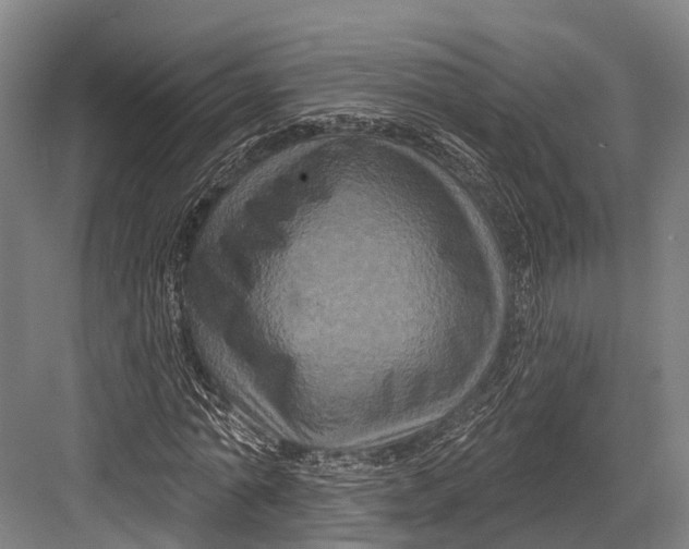 X0000082710774200702161814