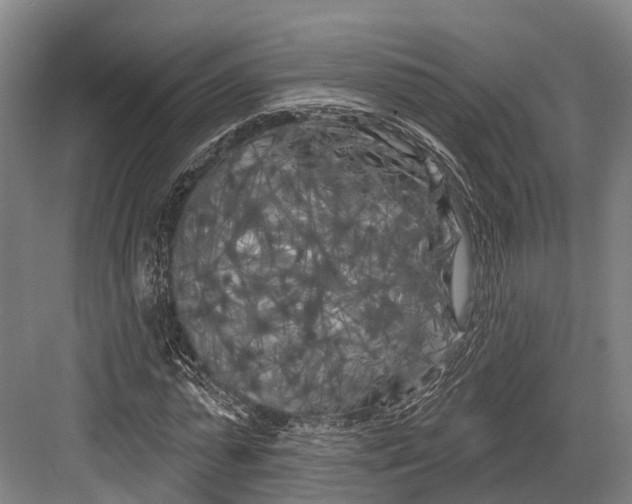 X0000082710775200702161814