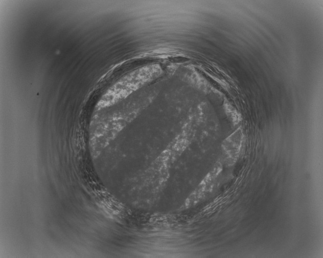 X0000082710776200702161814