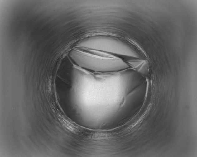 X0000082710777200702161814