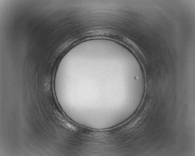 X0000082710778200702161814