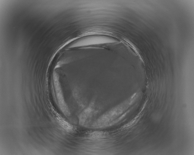 X0000082710779200702161814