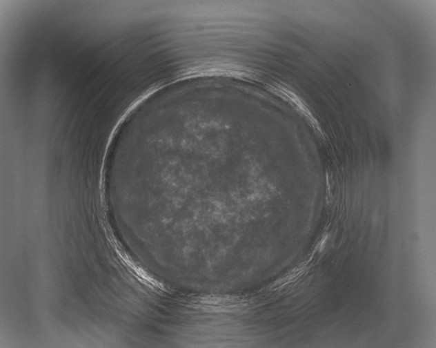 X0000082710780200702161814