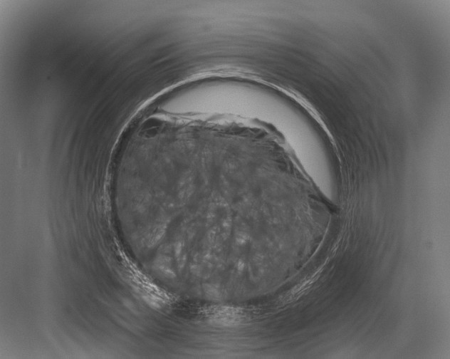 X0000082710783200702161814