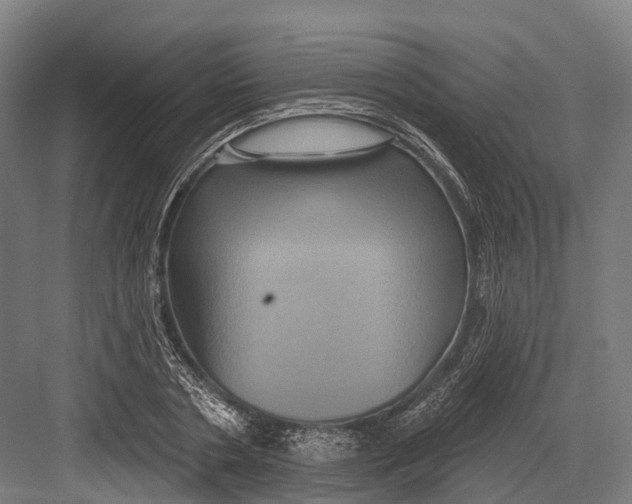 X0000082710786200702161814