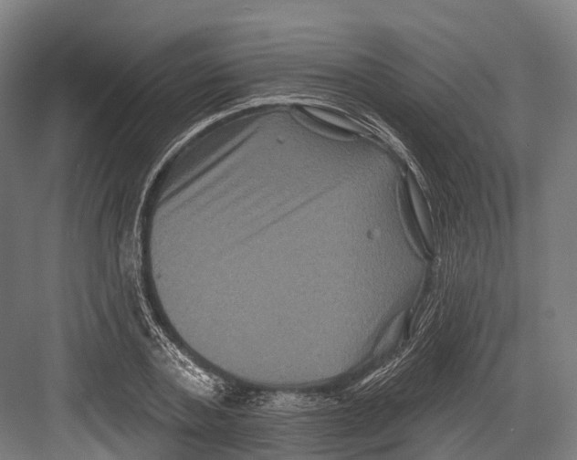 X0000082710787200702161814