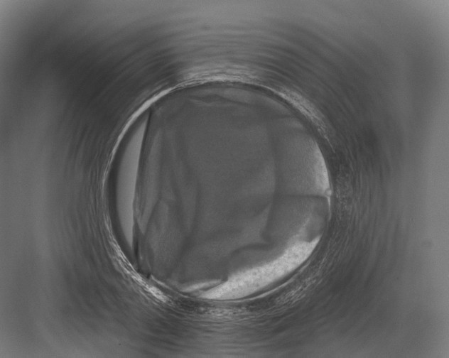 X0000082710790200702161814