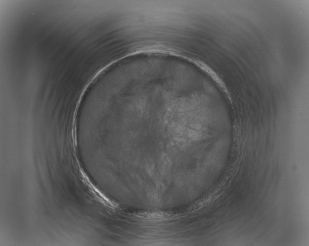 X0000082710791200702161814