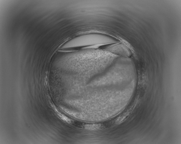 X0000082710793200702161814