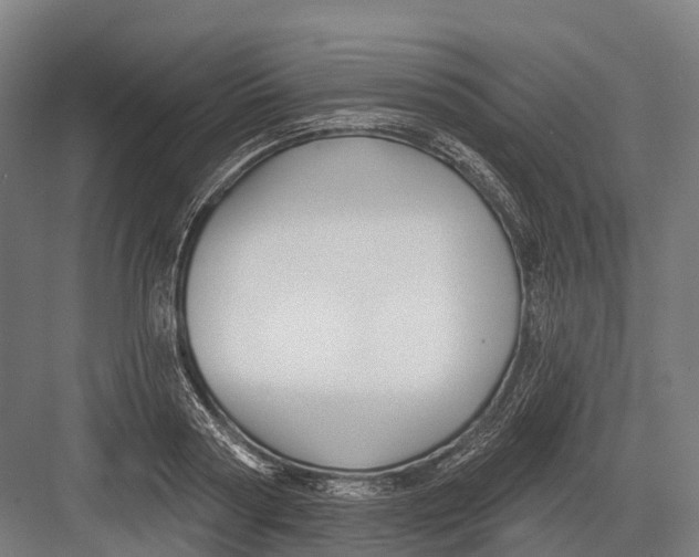 X0000082710794200702161814