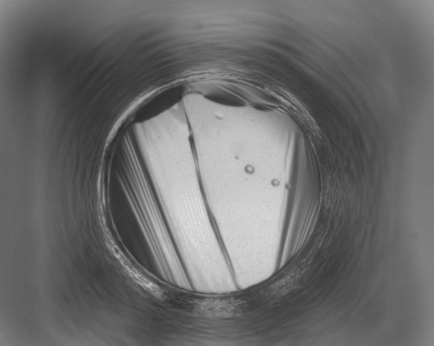 X0000082710796200702161814