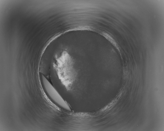 X0000082710797200702161814