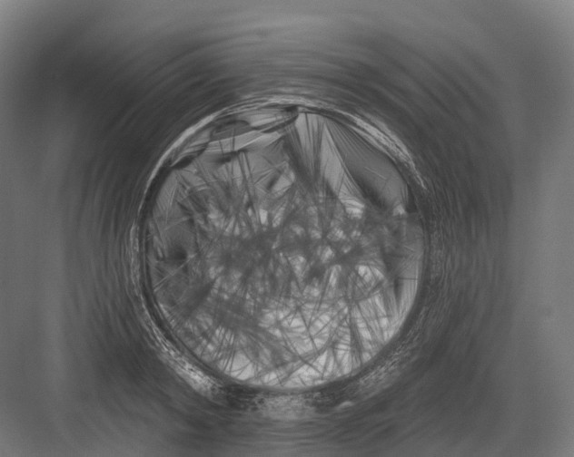 X0000082710798200702161814