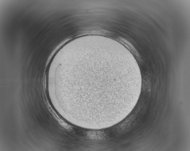 X0000082710804200702161814