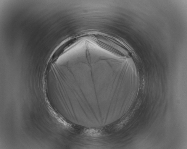 X0000082710806200702161814