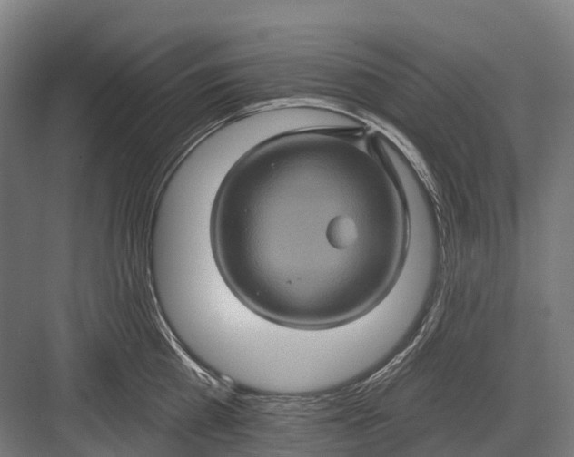 X0000082710809200702161814