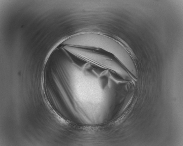 X0000082710812200702161814