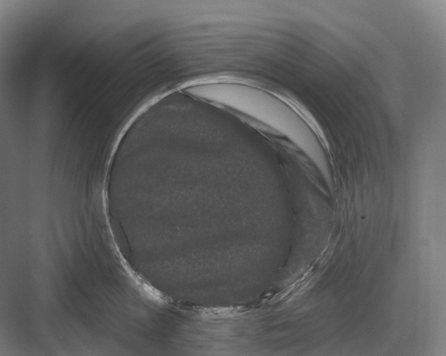 X0000082710813200702161814