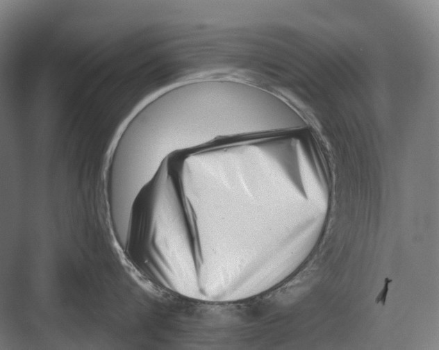 X0000082710816200702161814