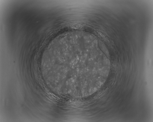 X0000082710817200702161813