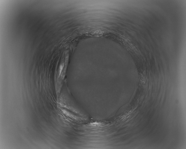 X0000082710818200702161813