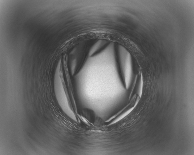 X0000082710821200702161813