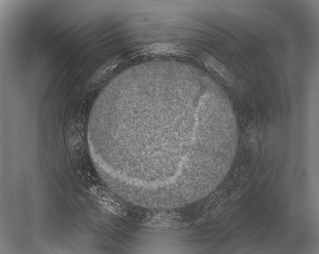 X0000082710824200702161813