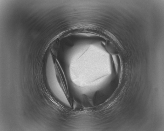 X0000082710826200702161813