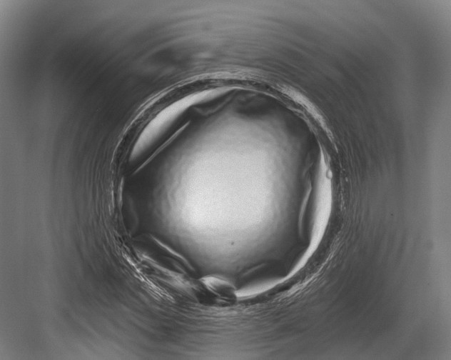 X0000082710829200702161813