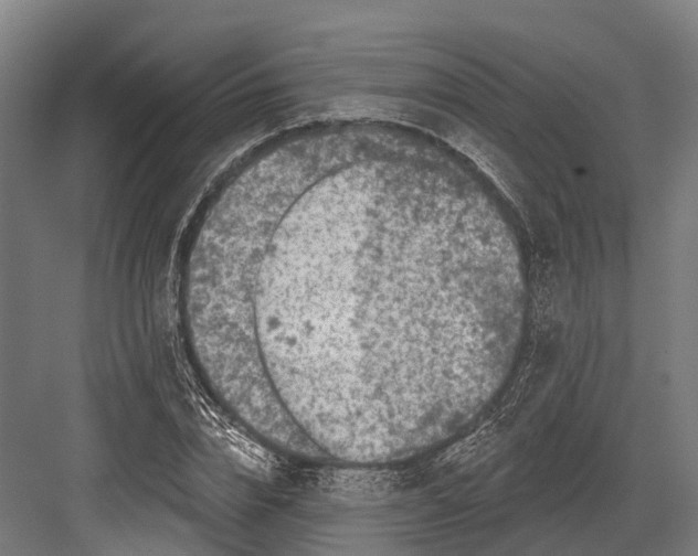 X0000082710832200702161813