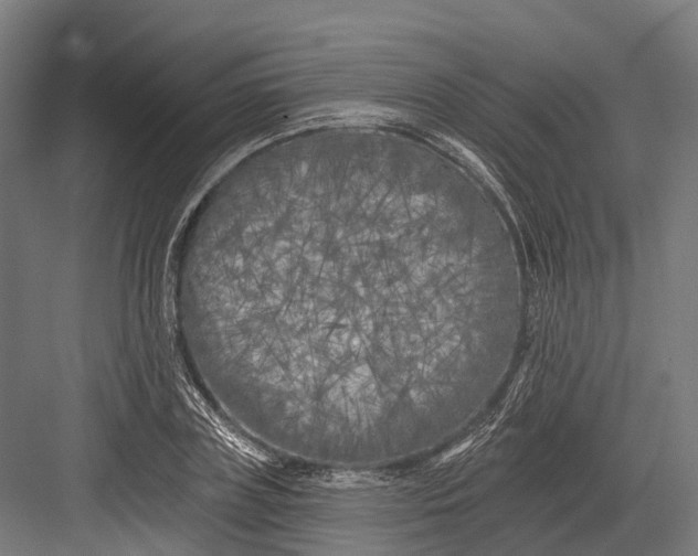 X0000082710835200702161813