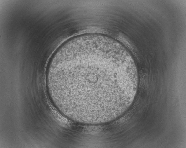 X0000082710836200702161813