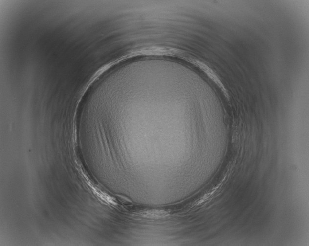 X0000082710837200702161813