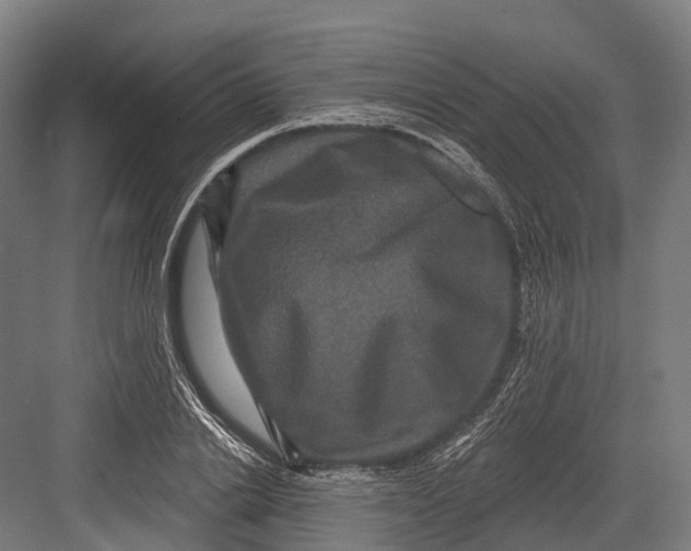 X0000082710838200702161813