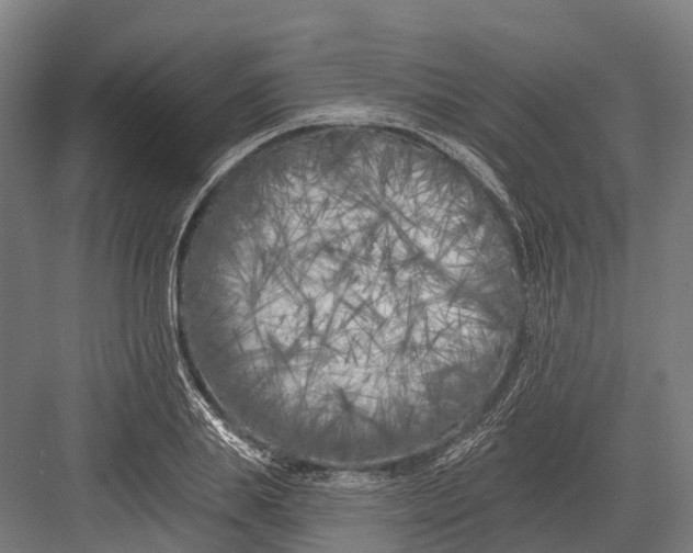 X0000082710839200702161813