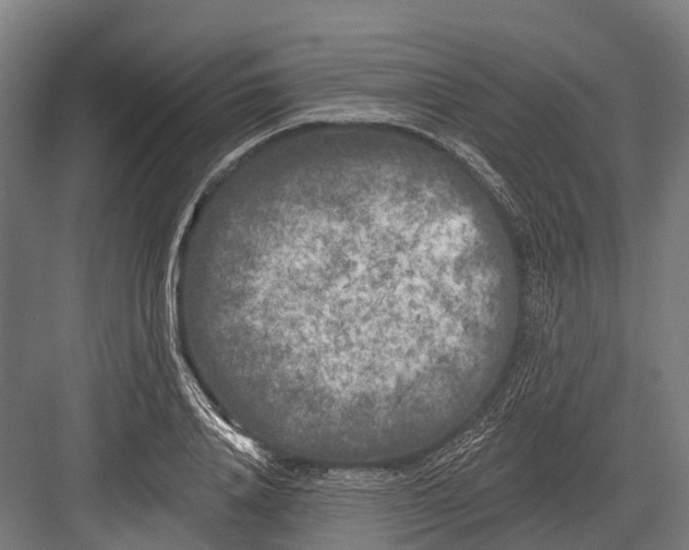 X0000082710840200702161813