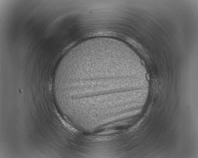 X0000082710841200702161813