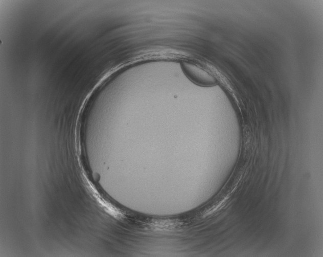 X0000082710843200702161813