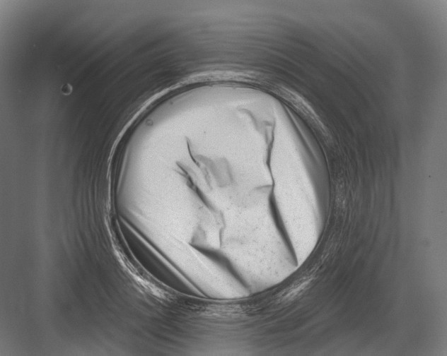 X0000082710844200702161813