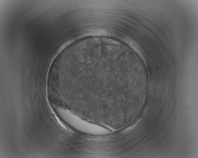 X0000082710845200702161813