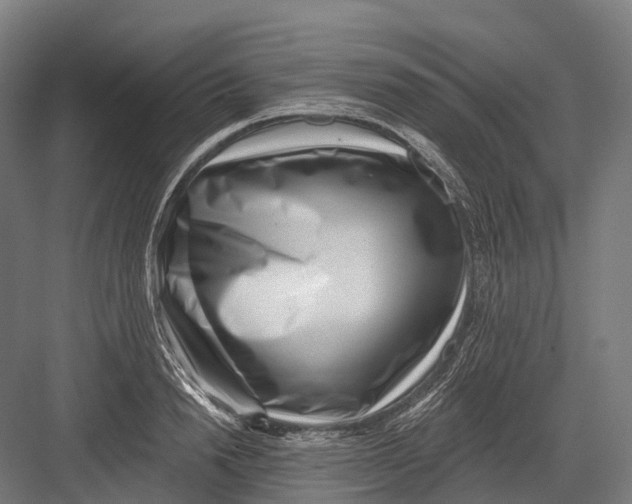 X0000082710846200702161813