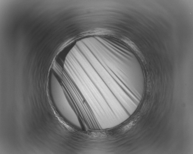 X0000082710850200702161814