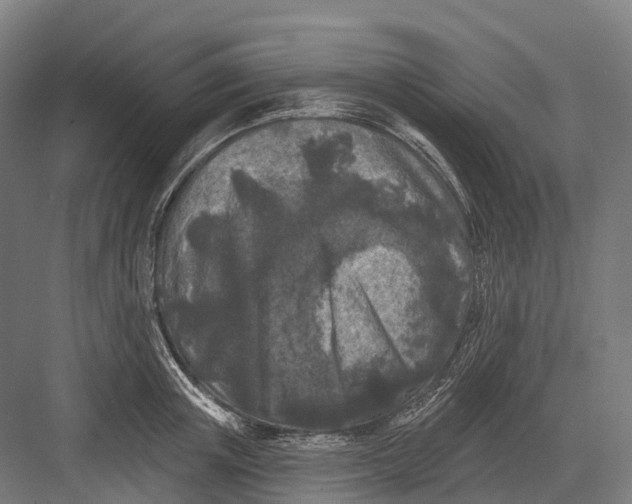 X0000082710851200702161814