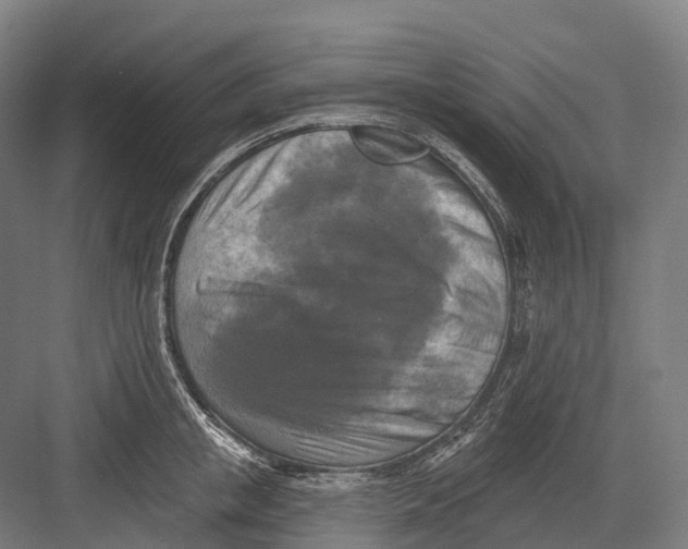 X0000082710853200702161814