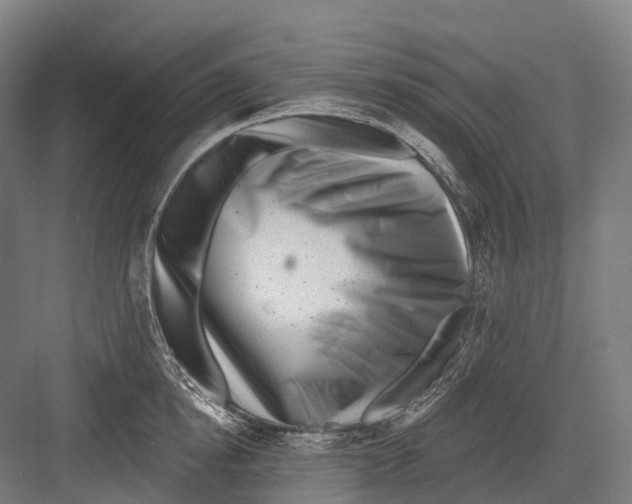 X0000082710854200702161814