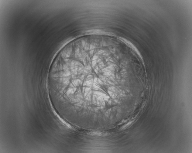 X0000082710855200702161814