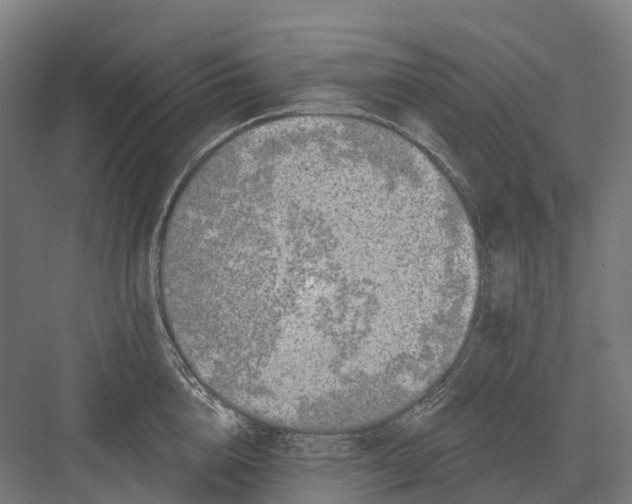 X0000082710856200702161814