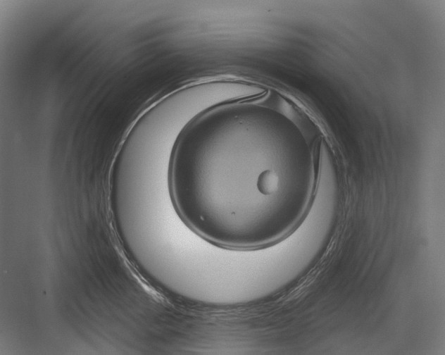 X0000082710858200702161814